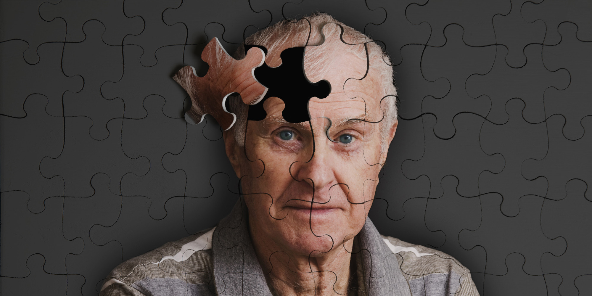 Alzhemiers Puzzle